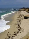 La Jolla Cove.webp La Jolla Cove.webp