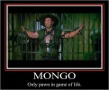 mongo.webp
