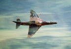 75 Sqdn TA-4K.-1.jpg