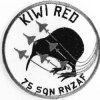 75 Sqdn Patch-1.jpg 75 Sqdn Patch-1.jpg
