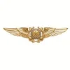 nav wings.webp