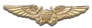 nfo wings.webp