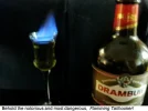 flaminghooker.webp