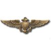 USN WINGS - ANTIQUE-1.jpg