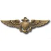 USN WINGS - ANTIQUE-1.webp