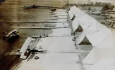 Pcola.webp