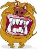 Mad Dog-1.webp
