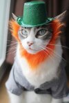 St. Paddy Kitty.jpg St. Paddy Kitty.jpg