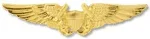 NFO Wings.webp