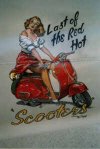 Last of the Red Hot Scooters!.jpg