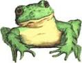 froggie.png