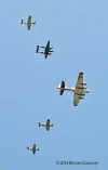 KYIP_VicFlight.webp