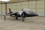 Nalls Harrier.webp