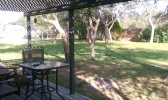 Back Yard.webp