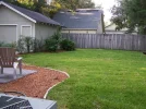 backyard.webp