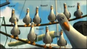 Nemo-Seagulls_.webp
