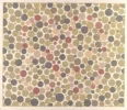 plate09.webp