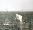 Argentina attack on British ships, Malvinas.jpg