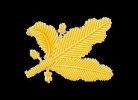 US_Navy_Supply_Corps_Oak_Leaf[1].jpg