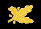 US_Navy_Supply_Corps_Oak_Leaf[1].jpg