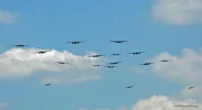 B25s.webp