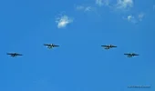 B25s3.webp