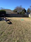 IMG_0501.jpg IMG_0501.jpg