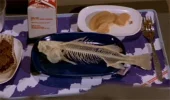 Airplane-Fish.webp Airplane-Fish.webp