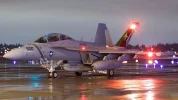 Growler at night.webp