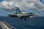 VFA-113 CAG a.webp