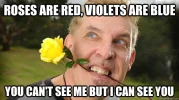 image.webp image.webp
