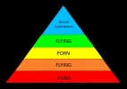 Maslow.webp