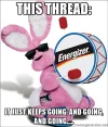 bunny.webp bunny.webp