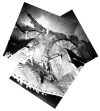 Kaga Wreckage-mosaic.webp