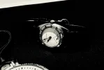 E2AC36DF-033F-46CB-BA3D-082D711D297E.webp