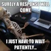 25-waiting-meme6.webp