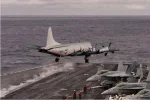P-3 cat shot.webp