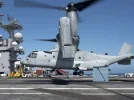 V22CODhook.webp