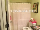 temp(9).webp