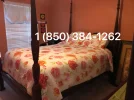 temp(13).webp