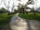 driveway.webp