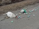 Easter Bunny.jpg