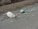 Easter Bunny.webp