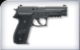 SIG226Rblackstainless2.jpg