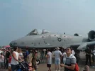 A-10 front.webp