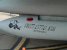 F-14 markings.webp