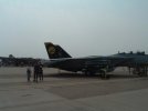 F-14 markings 2.jpg