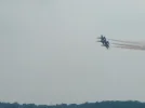 blue angels2.webp