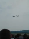 blue angels-5.webp