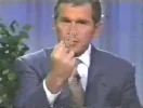 bushfingers.webp